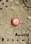 August Dreams