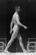 Homme Nu (Rousselet), Marche