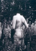 My Body