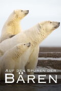 L'Année de l'ours