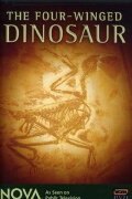 The Four-Winged Dinosaur