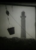 Pupila al viento