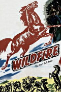 Wildfire