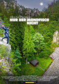 Alles hat Grenzen NUR DER MONDFISCH NICHT
