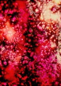 The Flickering of the Minds Eye