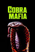 Cobra Mafia