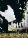 Plastic Bags