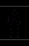 Network Reconstruction Of Nematode Symbionts