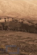 Battle of Zedilovo