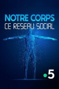 Notre corps, ce réseau social