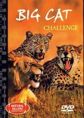 Big Cat Challenge