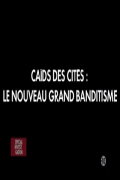 Caïds des cités: Le nouveau grand banditisme