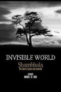Invisible World
