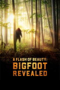 A Flash of Beauty: Bigfoot Revealed