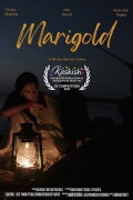 Marigold
