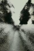 Brouillard #19