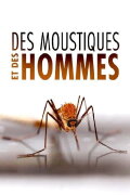 Des Moustiques et des Hommes
