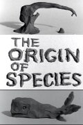 Clay or The Origin of Species