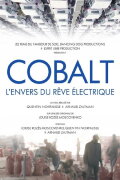Cobalt Rush: The Future of Going Green