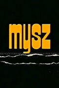Mysz