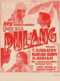 Pulang