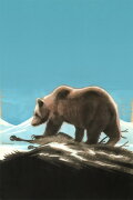 In the Kingdom of the Lapland Bear