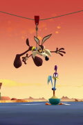 A Zipline In The Sand