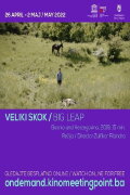 Big Leap