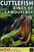 Cuttlefish: Kings of Camouflage