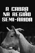 A Cabra na Região Semi-Árida