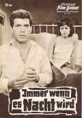 Immer wenn es Nacht wird