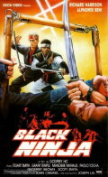 Ninja Operation - Knight and Warrior