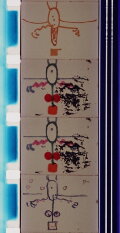Form Phases III