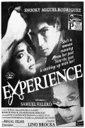 Experience