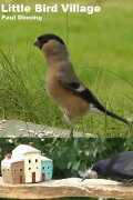 Little Bird Village