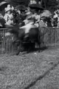 Courses d'ânes: II, la course