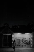 Birds sing at night