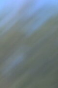 Clear Blue Sky