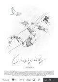 Chasing Birds