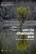 Um Rio Chamado Ave