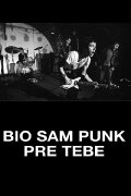 I Was a Punk Before You