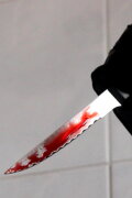 Three Bloody Photographs