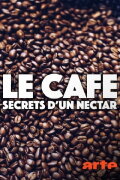 Kaffee - Geheimnisse eines Wundertranks