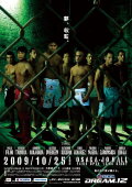 DREAM 12