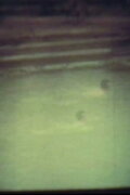 In The River