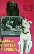 Barbos Visiting Bobik