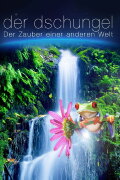 The Jungle 3D: Magic of Another World