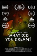 What Did You Dream?