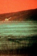 Studies for the Decay of the West