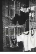 The Burglar's Slide for Life